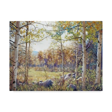 Carol J Rupp 'Valley Of The Utes Autumn' Canvas Art,35x47